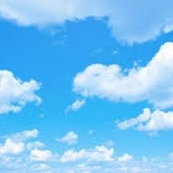 Meet your Posher, Gisselle - Picture 1 of 1